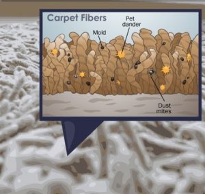تصویر میکروسکوپی آلودگی های پنهان فرش ماشینی