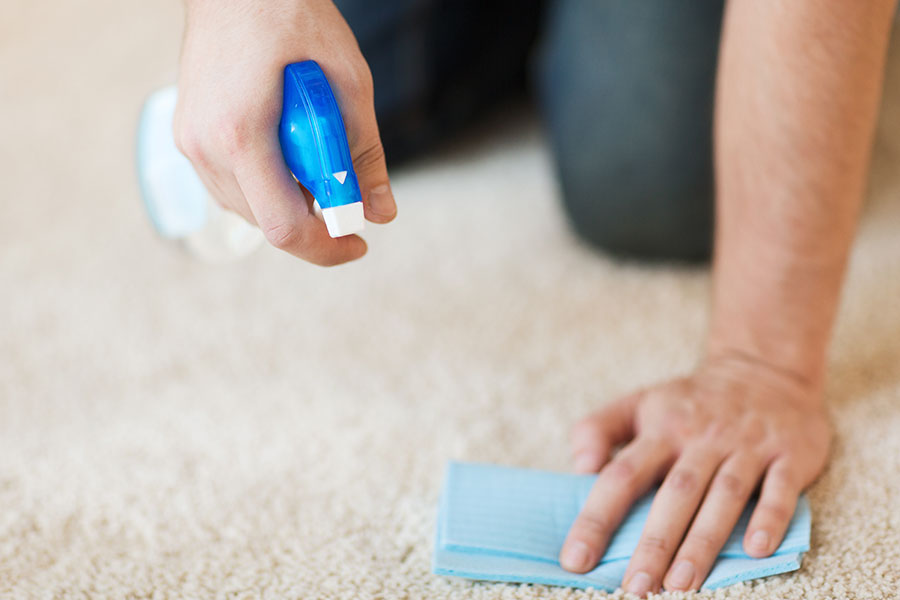 پاک کردن لکه از روی فرش