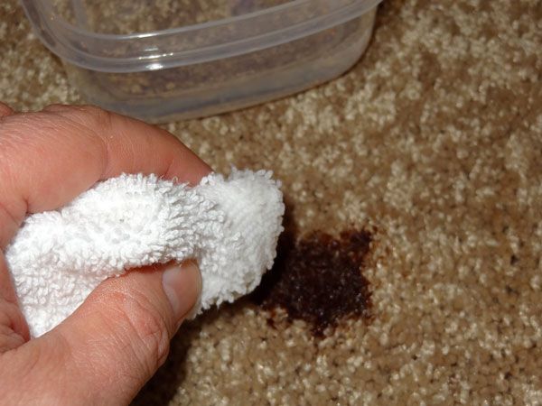 نکاتی در مورد لکه برداری فرش
