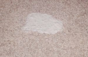 پاک کردن لکه شیر از روی فرش