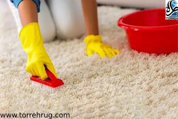 پاک کردن انواع لکه ها از فرش های سفید