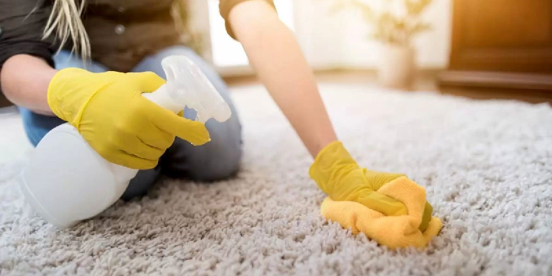 علت بوی بد فرش- قالیشویی طره (3)